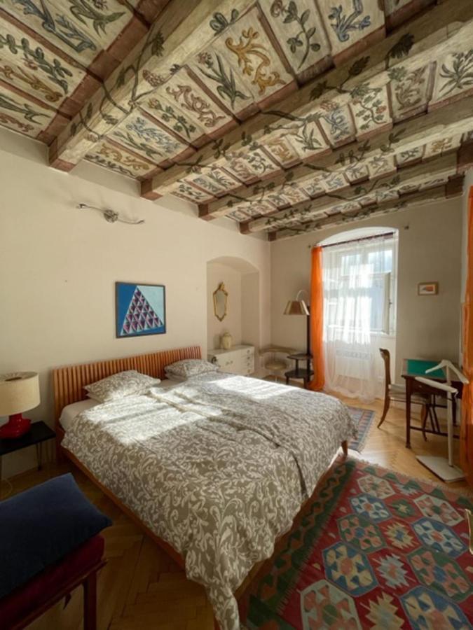 Cool Historical 1 Bedroom In Mala Strana Apartamento Praga